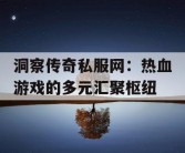 洞察传奇私服网：热血游戏的多元汇聚枢纽