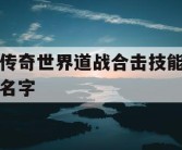 传奇世界道战合击技能名字
