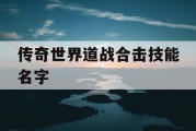 传奇世界道战合击技能名字