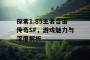 探索1.85王者合击传奇SF，游戏魅力与深度解析
