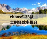 zhaosf123战士刷怪效率提升