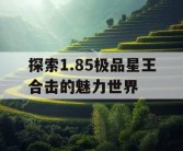 探索1.85极品星王合击的魅力世界