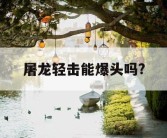 屠龙轻击能爆头吗?