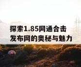 探索1.85网通合击发布网的奥秘与魅力