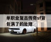 单职业复古传奇sf背包满了的处理