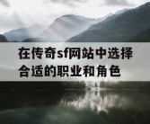 在传奇sf网站中选择合适的职业和角色