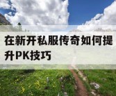 在新开私服传奇如何提升PK技巧