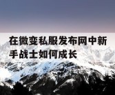 在微变私服发布网中新手战士如何成长