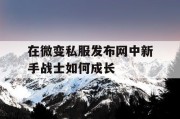 在微变私服发布网中新手战士如何成长