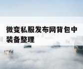 微变私服发布网背包中装备整理