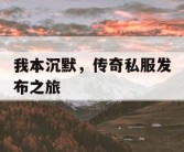 我本沉默，传奇私服发布之旅