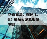 热血重温：探秘 1.85 精品火龙私服发布网