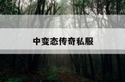 中变态传奇私服