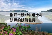 刚开一秒sf中道士与法师的技能差异