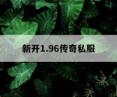 新开1.96传奇私服