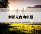 刺影无内功私服