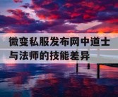 微变私服发布网中道士与法师的技能差异