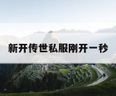 新开传世私服刚开一秒