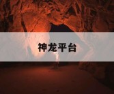 神龙平台
