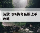 沉默飞扬传奇私服上手攻略