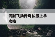 沉默飞扬传奇私服上手攻略