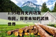 1.95皓月无内功发布网，探索未知的武侠世界