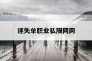 迷失单职业私服网网