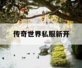 传奇世界私服新开