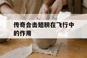 传奇合击翅膀在飞行中的作用