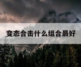 变态合击什么组合最好