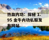 热血内功：探秘 1.95 金牛内功私服发布网站