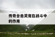 传奇合击灵宠在战斗中的作用