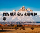 找好服灵宠玩法趣味探索