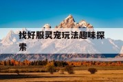 找好服灵宠玩法趣味探索