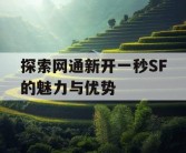 探索网通新开一秒SF的魅力与优势
