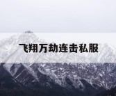 飞翔万劫连击私服