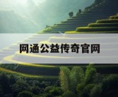 网通公益传奇官网