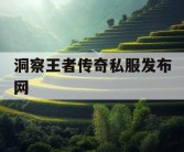 洞察王者传奇私服发布网