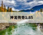 神龙传奇1.85