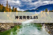 神龙传奇1.85