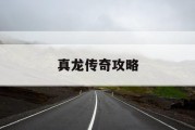 真龙传奇攻略