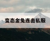 变态金兔连击私服