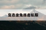 变态金兔连击私服
