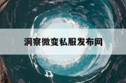 洞察微变私服发布网