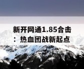 新开网通1.85合击：热血团战新起点