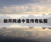 新开网通中变传奇私服