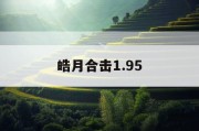 皓月合击1.95