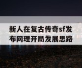 新人在复古传奇sf发布网理开局发展思路