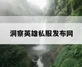 洞察英雄私服发布网