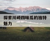 探索川崎四味瓜的独特魅力